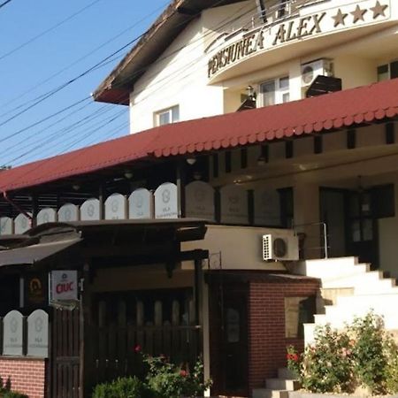 Vila Alex&Razvan Tulça Dış mekan fotoğraf